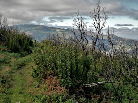 Terreno Misto com 11,53 Ha, localizado no cume da Picota e com viabilidade de construção de Resort Turístico luxo e/ou Teleférico com Restaurante Panorâmico