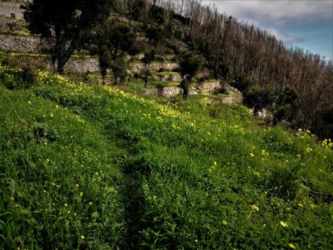 Terreno Misto com 11,53 Ha, localizado no cume da Picota e com viabilidade de construção de Resort Turístico luxo e/ou Teleférico com Restaurante Panorâmico