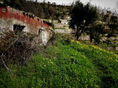 Terreno Misto com 11,53 Ha, localizado no cume da Picota e com viabilidade de construção de Resort Turístico luxo e/ou Teleférico com Restaurante Panorâmico