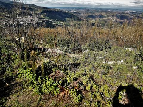 Terreno Misto com 11,53 Ha, localizado no cume da Picota e com viabilidade de construção de Resort Turístico luxo e/ou Teleférico com Restaurante Panorâmico