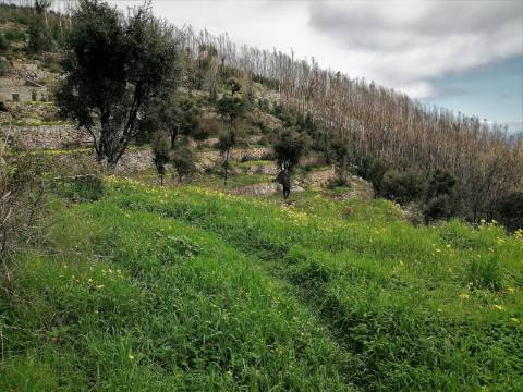 Terreno Misto com 11,53 Ha, localizado no cume da Picota e com viabilidade de construção de Resort Turístico luxo e/ou Teleférico com Restaurante Panorâmico