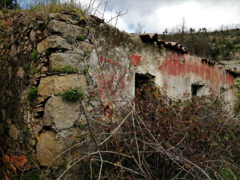 Terreno Misto com 11,53 Ha, localizado no cume da Picota e com viabilidade de construção de Resort Turístico luxo e/ou Teleférico com Restaurante Panorâmico