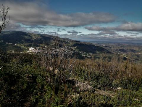 Terreno Misto com 11,53 Ha, localizado no cume da Picota e com viabilidade de construção de Resort Turístico luxo e/ou Teleférico com Restaurante Panorâmico