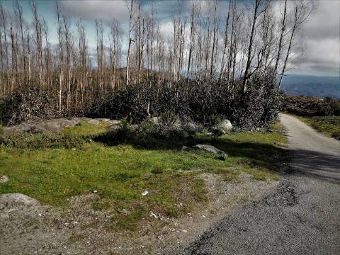 Terreno Misto com 11,53 Ha, localizado no cume da Picota e com viabilidade de construção de Resort Turístico luxo e/ou Teleférico com Restaurante Panorâmico