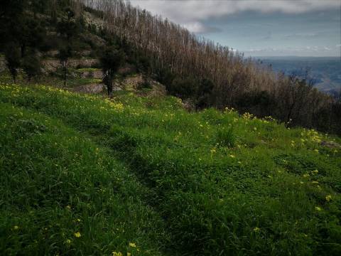 Terreno Misto com 11,53 Ha, localizado no cume da Picota e com viabilidade de construção de Resort Turístico luxo e/ou Teleférico com Restaurante Panorâmico