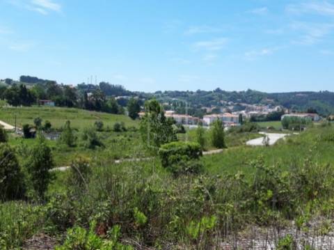 Terreno com projeto aprovado em Alcobaça - Leiria