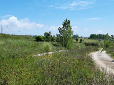 Terreno com projeto aprovado em Alcobaça - Leiria
