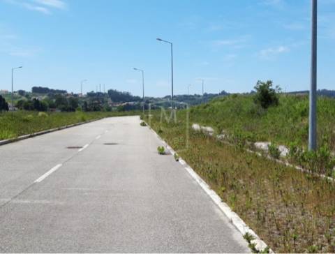 Terreno com projeto aprovado em Alcobaça - Leiria