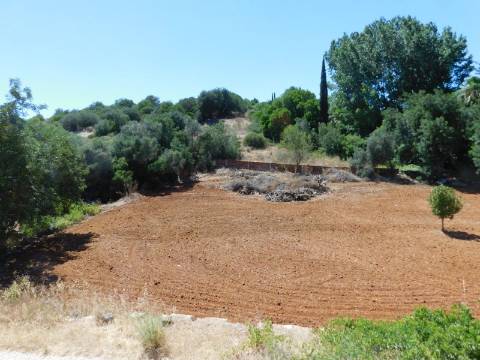 Casa / Moradia V6 com 6 quartos com piscina Isolada em zona Rural a 5 minutos de Silves