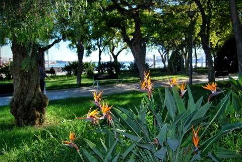 Prédio (316 m2), 2 pisos e com quintal, para reabilitar, frente Parque e Rio Arade. Investimento