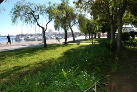 Prédio (316 m2), 2 pisos e com quintal, para reabilitar, frente Parque e Rio Arade. Investimento