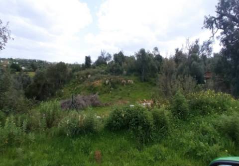 Terreno com projeto aprovado para Quinta Rural