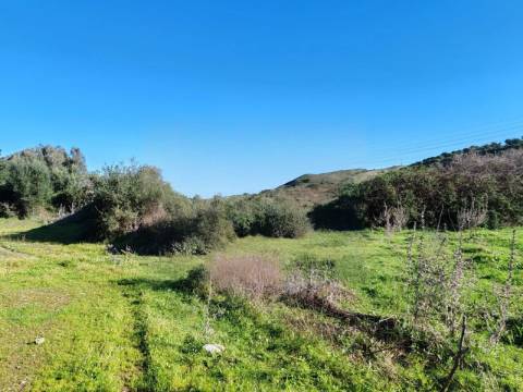 Herdade com construções à entrada de Portimão