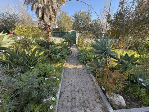 Moradia em Alvor com apartamentos independentes