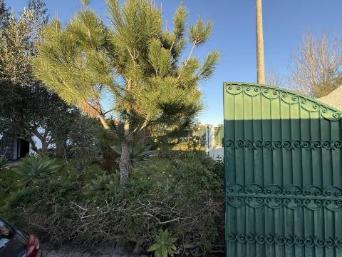 Moradia em Alvor com apartamentos independentes