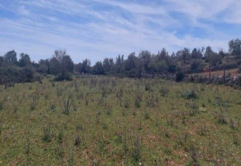 Terreno agrícola na Guia, Albufeira