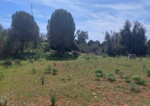 Terreno agrícola na Guia, Albufeira