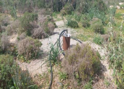 Terreno agrícola na Guia, Albufeira