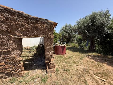 Terreno Misto no Tabual, Mexilhoeira Grande