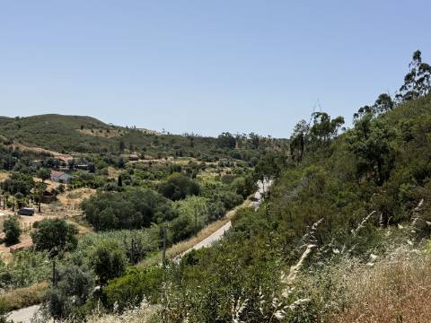 Terreno Misto no Tabual, Mexilhoeira Grande