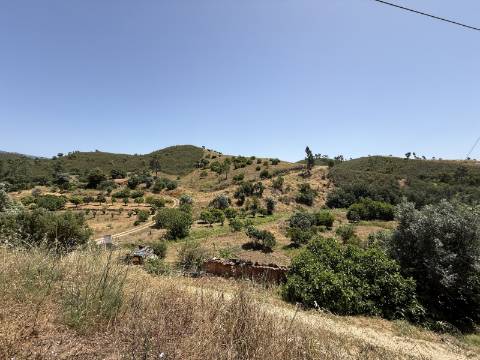 Terreno Misto no Tabual, Mexilhoeira Grande