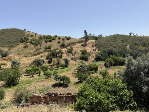 Terreno Misto no Tabual, Mexilhoeira Grande