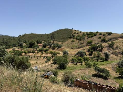 Terreno Misto no Tabual, Mexilhoeira Grande