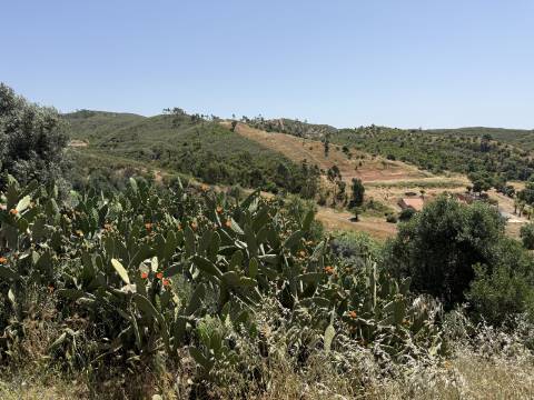Terreno Misto no Tabual, Mexilhoeira Grande