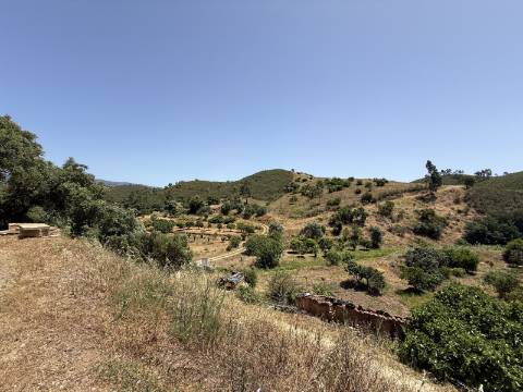 Terreno Misto no Tabual, Mexilhoeira Grande