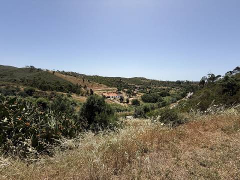 Terreno Misto no Tabual, Mexilhoeira Grande