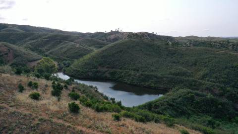 Terreno Misto no Tabual, Mexilhoeira Grande