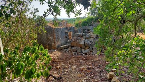 Terreno Urbano em Moncarapacho