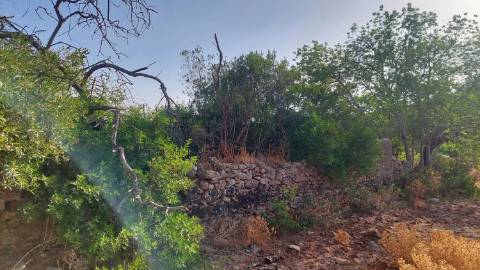 Terreno Urbano em Moncarapacho