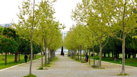 Apartamento T3 em Almada, Laranjeiro