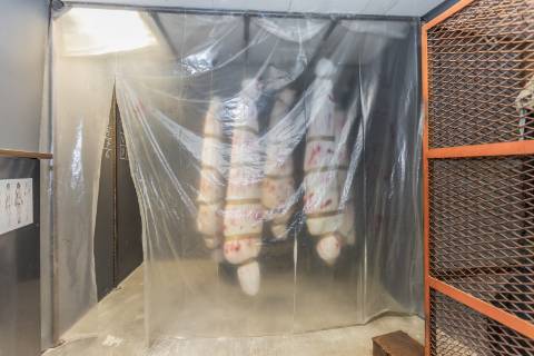 Área Nobre de 253 m² na Av. 5 de Outubro - O Maior Potencial de Conversão em habitação ou Sede Corporativa de na Av. 5 de Outubro em Setúbal