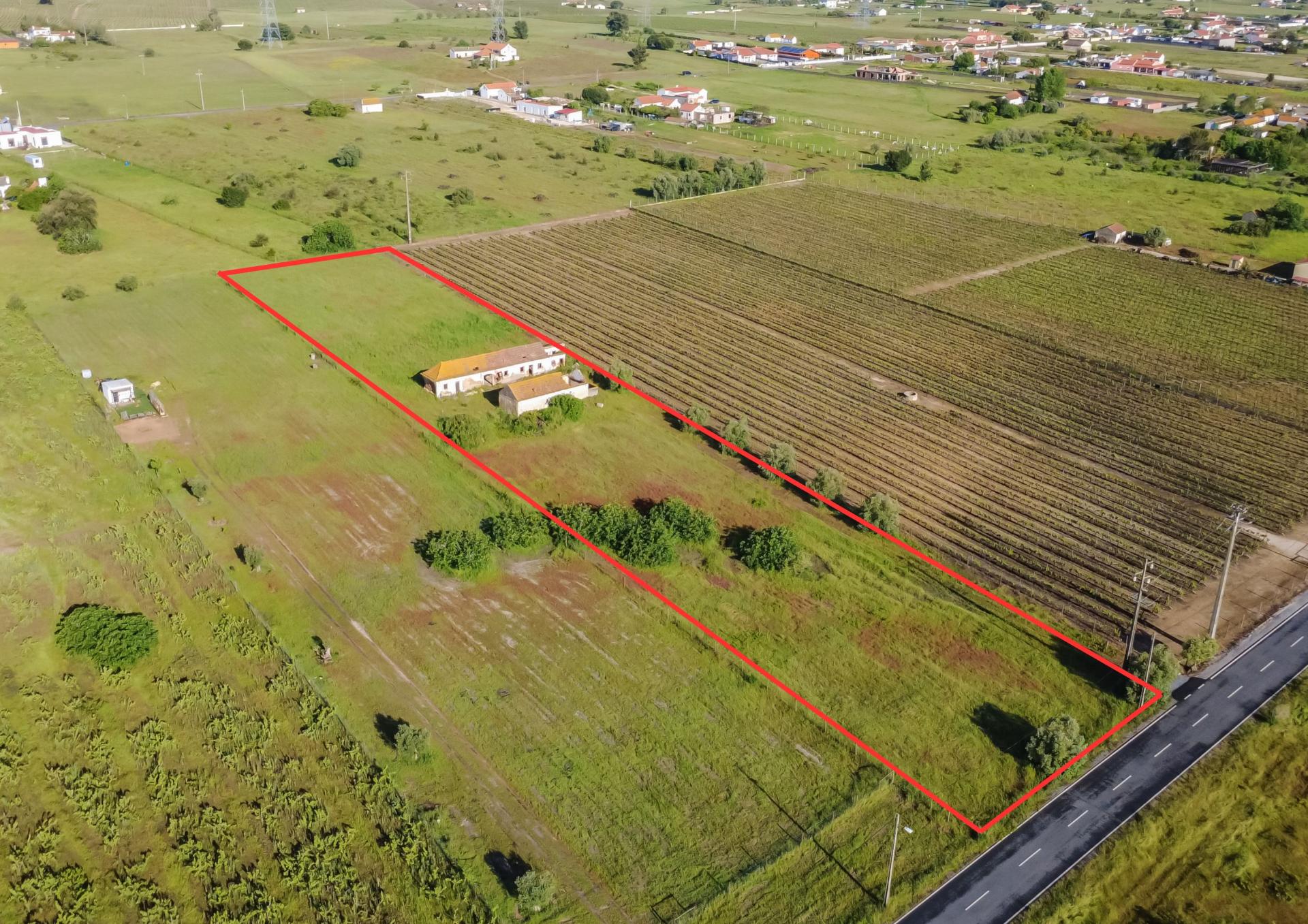 Quintinha com 6.688m ² e ruína para reconstrução | Arraiados, Pinhal Novo