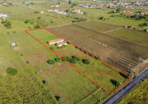 Quintinha com 6.688m ² e ruína para reconstrução | Arraiados, Pinhal Novo