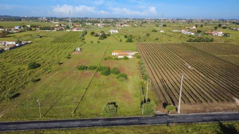 Quintinha com 6.688m ² e ruína para reconstrução | Arraiados, Pinhal Novo