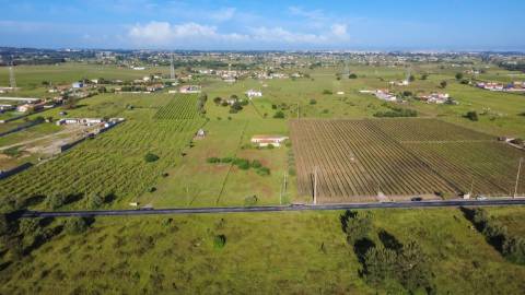 Quintinha com 6.688m ² e ruína para reconstrução | Arraiados, Pinhal Novo