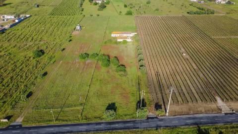 Quintinha com 6.688m ² e ruína para reconstrução | Arraiados, Pinhal Novo