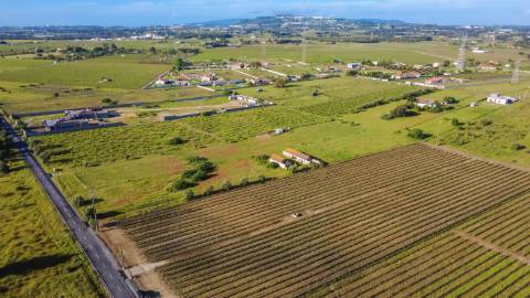 Quintinha com 6.688m ² e ruína para reconstrução | Arraiados, Pinhal Novo