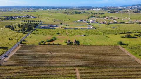 Quintinha com 6.688m ² e ruína para reconstrução | Arraiados, Pinhal Novo