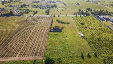 Quintinha com 6.688m ² e ruína para reconstrução | Arraiados, Pinhal Novo