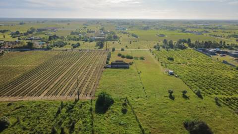 Quintinha com 6.688m ² e ruína para reconstrução | Arraiados, Pinhal Novo