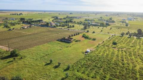 Quintinha com 6.688m ² e ruína para reconstrução | Arraiados, Pinhal Novo