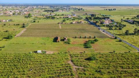 Quintinha com 6.688m ² e ruína para reconstrução | Arraiados, Pinhal Novo