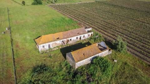 Quintinha com 6.688m ² e ruína para reconstrução | Arraiados, Pinhal Novo