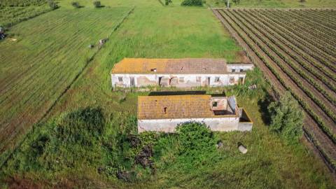 Quintinha com 6.688m ² e ruína para reconstrução | Arraiados, Pinhal Novo