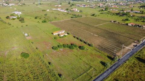 Quintinha com 6.688m ² e ruína para reconstrução | Arraiados, Pinhal Novo