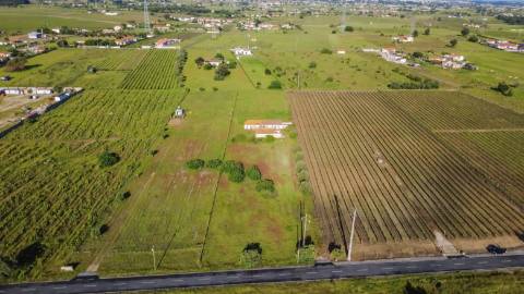 Quintinha com 6.688m ² e ruína para reconstrução | Arraiados, Pinhal Novo